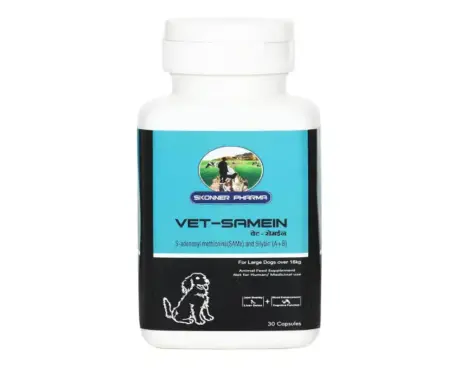 Skonner Pharma Vet Samein Large supplement for pet liver health PetMedicine.co