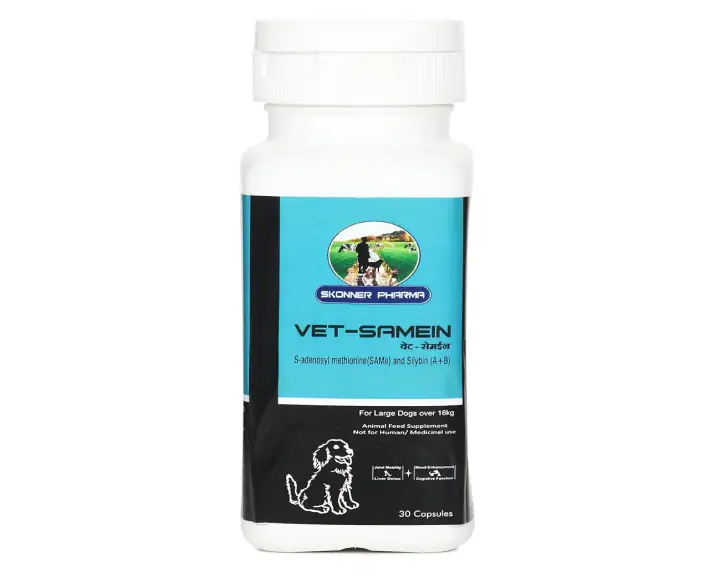Vet Samein Large liver support tablets for dogs cats PetMedicine.co
