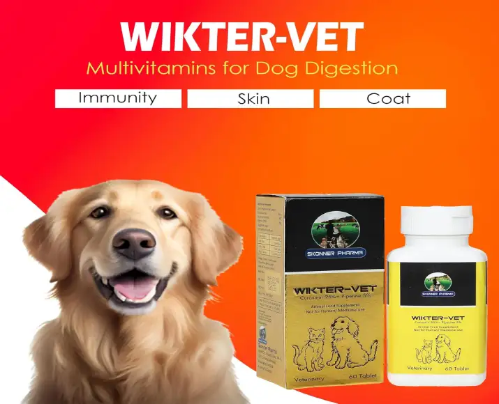 WikterVet tablets for dog and cat digestion support PetMedicine.co