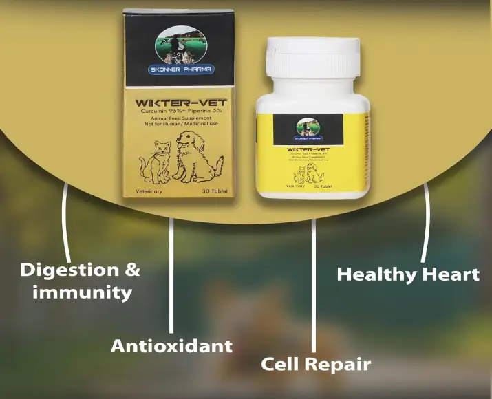 WikterVet tablets for dog and cat digestion support PetMedicine.co