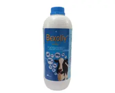 TTK Bexoliv liver supplement for cattle sheep goats 1L PetMedicine.co
