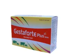 TTK Gestaforte Plus Bolus for cows and buffaloes PetMedicine.co
