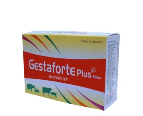 TTK Gestaforte Plus Bolus for cows and buffaloes PetMedicine.co