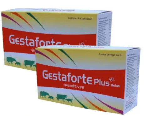 TTK Gestaforte Plus Bolus livestock supplement PetMedicine.co