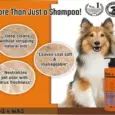 TTK Hug N Wag Dog Shampoo Pro Vitamin B5 PetMedicine.co