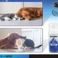 Dry bath foam for dogs and cats easy cleaning solution PetMedicine.co