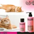 Gentle Cat Shampoo with Pro Vitamin B5 PetMedicine.co