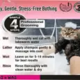 Gentle Cat Shampoo with Pro Vitamin B5 PetMedicine.co