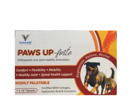 Venkys Paws Up Forte joint supplement for dogs PetMedicine.co
