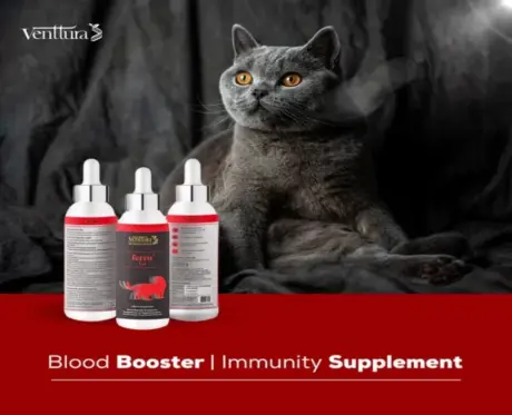 Venttura Ferro Plus Cat blood booster 100ml PetMedicine.co 3