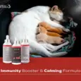 Venttura Immunity Booster for Cats 100ML PetMedicine.co 3