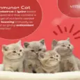 Venttura Immunity Booster for Cats 100ML PetMedicine.co 8