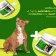 Venttura Inhancer joint supplement for dogs 340gm PetMedicine.co 6