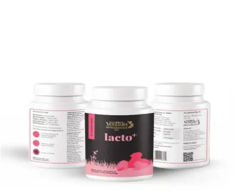 Venttura Lacto Plus milk booster tablets for dogs 45 tablets PetMedicine.co 1