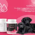 Venttura Lacto Plus milk booster tablets for dogs 45 tablets PetMedicine.co 2