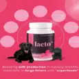 Venttura Lacto Plus milk booster tablets for dogs 45 tablets PetMedicine.co 3