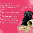 Venttura Lacto Plus milk booster tablets for dogs 45 tablets PetMedicine.co 6