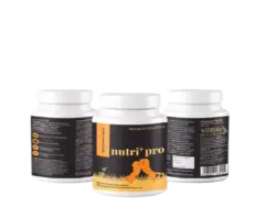 Venttura Nutri Pro Plus Multi Vitamin Chewable Tablets for Dogs, 45 Tablets at Petmedicine.co 1