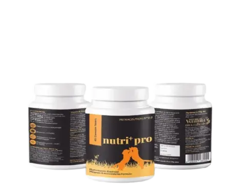 Venttura Nutri Pro Plus Multi Vitamin Chewable Tablets for Dogs, 45 Tablets at Petmedicine.co 1