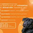 Venttura Nutri Pro Plus Multi Vitamin Chewable Tablets for Dogs, 45 Tablets at Petmedicine.co 2