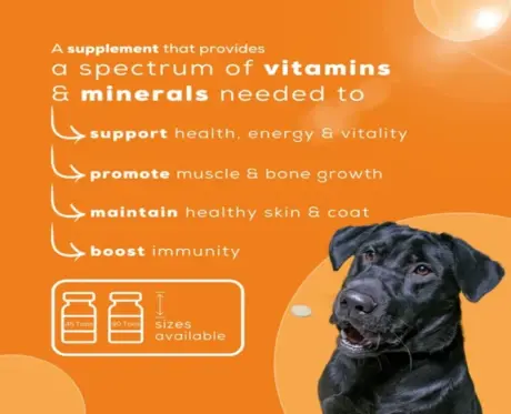 Venttura Nutri Pro Plus Multi Vitamin Chewable Tablets for Dogs, 45 Tablets at Petmedicine.co 2