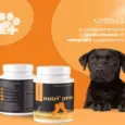 Venttura Nutri Pro Plus Multi Vitamin Chewable Tablets for Dogs, 45 Tablets at Petmedicine.co 3