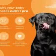 Venttura Nutri Pro Plus Multi Vitamin Chewable Tablets for Dogs, 45 Tablets at Petmedicine.co 4