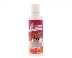 Vetrina Setcoat Shampoo CHG 5 for Dogs 200ml PetMedicine.co