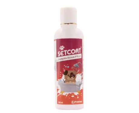 Vetrina Setcoat Shampoo CHG 5 for Dogs 200ml PetMedicine.co