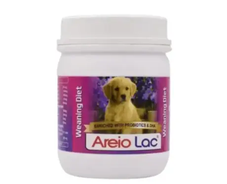 Areion Vet Areio Lac NX Powder for Dogs 500gm digestive supplement PetMedicine.co