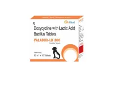 Oriheal Paladox LB 300 MG doxycycline tablets for dogs cats PetMedicine.co