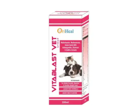 Oriheal Vitablast Vet Syrup for Dogs and Cats 200ml PetMedicine.co
