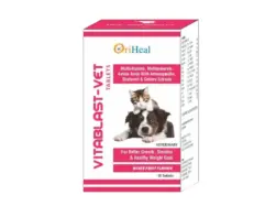 Oriheal Vitablast Vet Tablets for Dogs and Cats PetMedicine.co