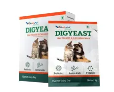 Vvaan Digyeast Pouch for Dogs and Cats digestive support PetMedicine.co