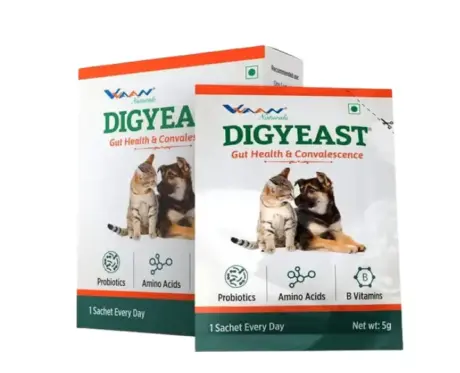 Vvaan Digyeast Pouch for Dogs and Cats digestive support PetMedicine.co