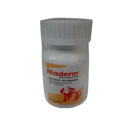 Vvaan Niaderm 250 MG capsules for dogs and cats skin care PetMedicine.co