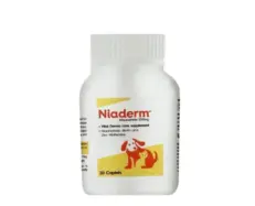 Vvaan Niaderm 500 MG capsules for dogs and cats skin care PetMedicine.co