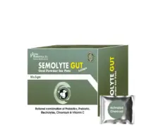 Corise Semolyte Gut Sachets for pets digestive care PetMedicine.co
